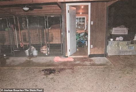 Chilling photos reveal bloody crime scene where Maggie and Paul ...